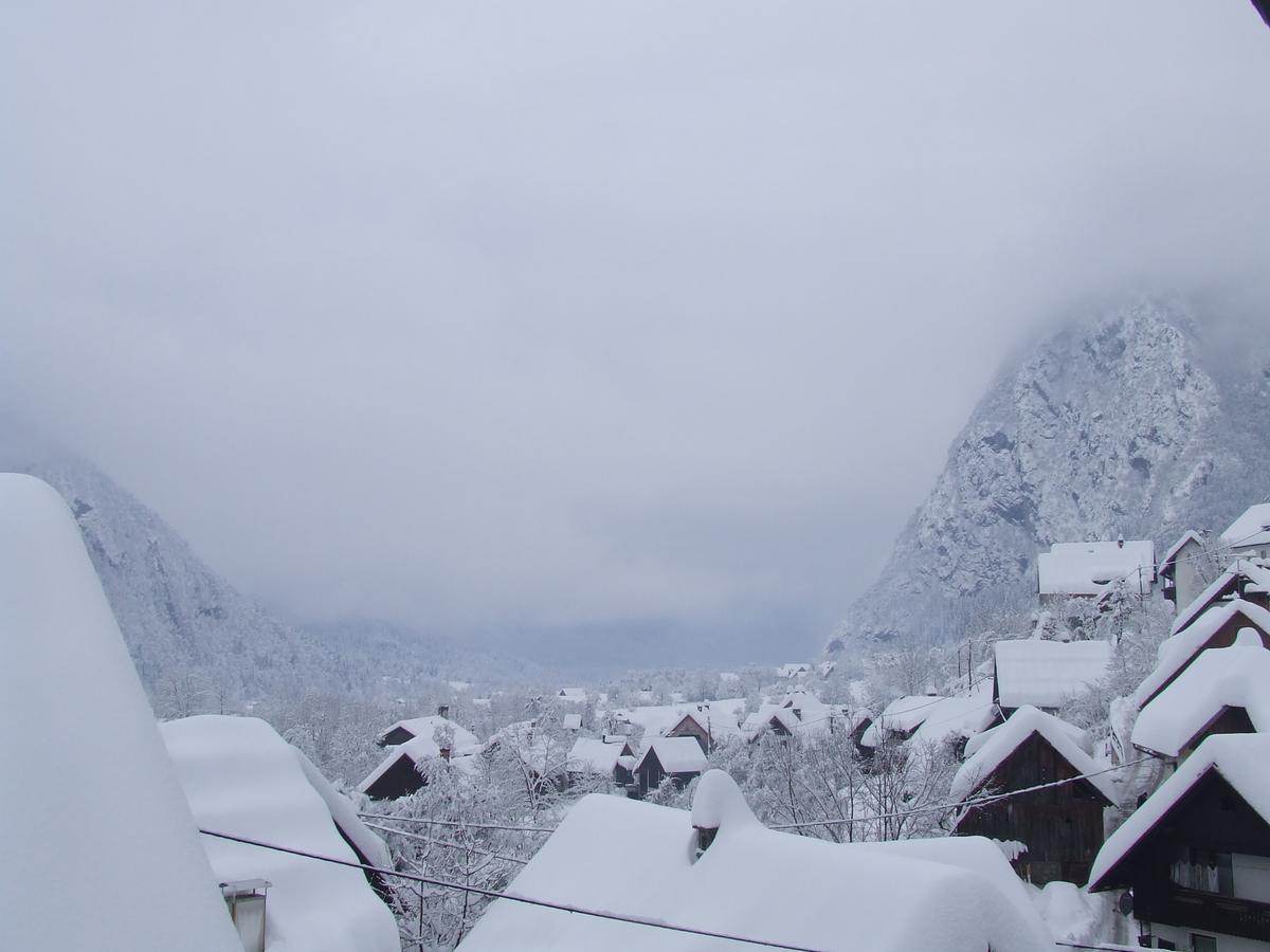 Apartment Zupanc Bohinji-tó Kültér fotó
